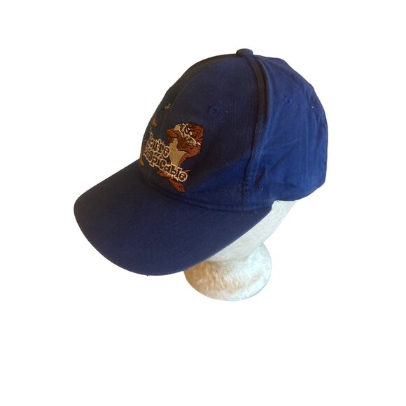 Your Despicable Warner Bros Daffy Duck Taz Blue Baseball Hat Cap Adjustable - Picture 2 of 5
